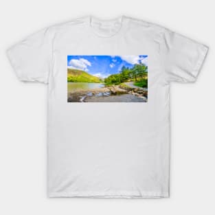 Buttermere Panorama With Driftwood T-Shirt